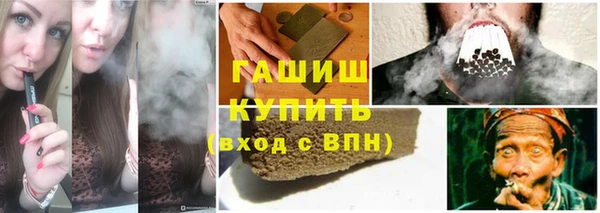 прущие грибы Балахна