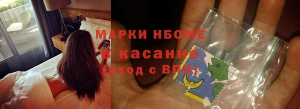 прущие грибы Балахна