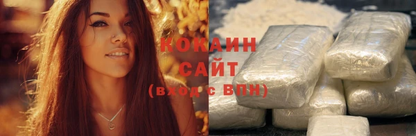 прущие грибы Балахна