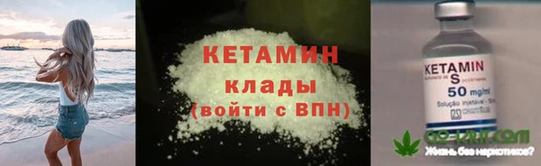 прущие грибы Балахна