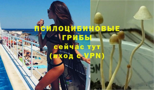 прущие грибы Балахна