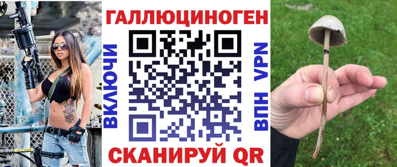 мориарти какой сайт Красноперекопск Псилоцибиновые грибы MAGIC MUSHROOMS